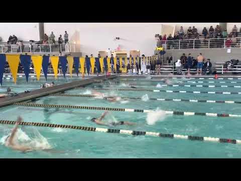 Video of 100 Back