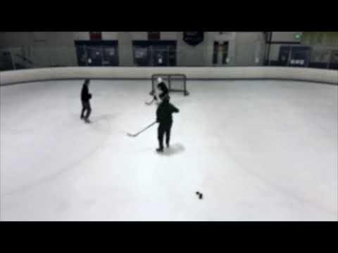 Video of Private Goalie Session
