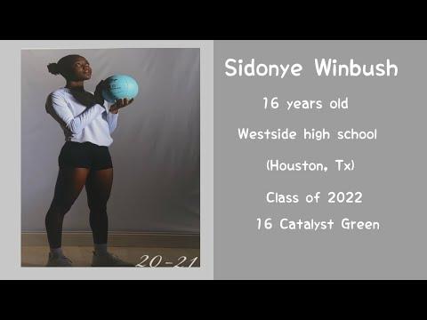 Video of Volleyball Highlights 2020-2021