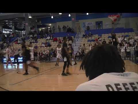 Video of Ryan Adams #3-Park School Basketball- 2019-2020 Highlights