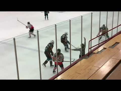 Video of Cassandra Johnson all shifts from Team Wisconsin game 10/24/2021