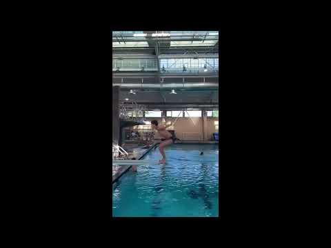 Video of Recent dives Mar 2022