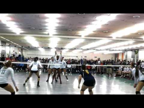 Video of Kate Widman 2017 volleyball highlights