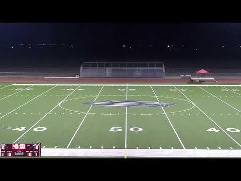 Video of DHS vs Chap 10/4/22 (Pink Jersey)
