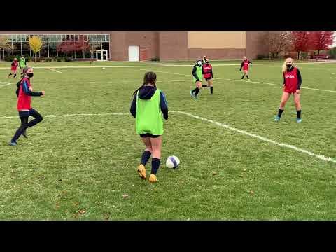 Video of Soccer Highlight Video - Sara Donoso 2020