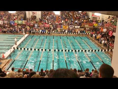 Video of 100 Fly Ohio State Championships - Lane 3