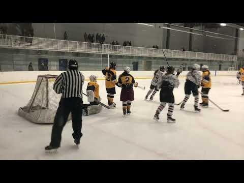 Video of Sydney Hanlon Hockey