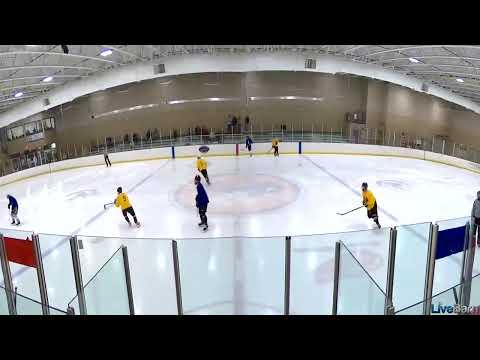 Video of Brogan's goal NAHL Michigan camp