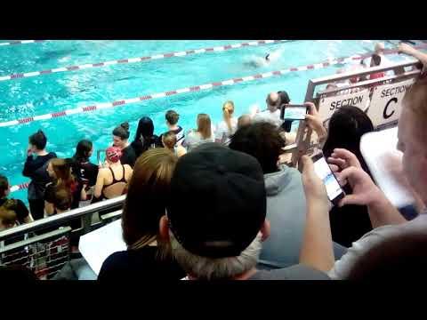 Video of 200 yard medley relay PIAA district IX finals