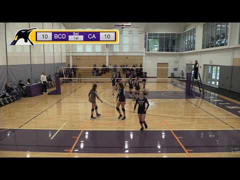 Video of Setter, Purple Jersey, #8
