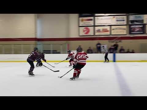 Video of Poke check and shot from blue line