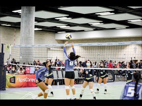 Video of Transpacific Tournament Highlights 2022