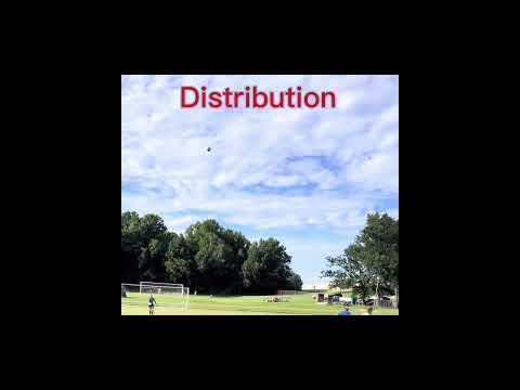 Video of Saves and distribution