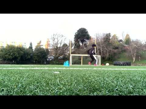 Video of Training with Cones