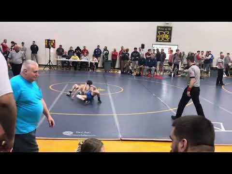 Video of Cartwheel reversal 