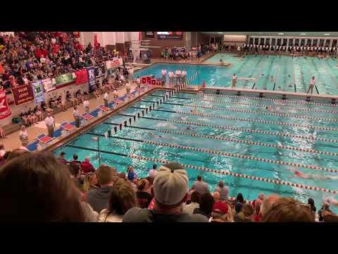 Video of OHSAA State Championship D2 500 Free Prelims, Lane 5 Heat 3