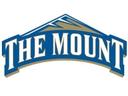 Mount St. Mary's University