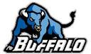 University at Buffalo, SUNY