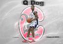 profile image for Quintin Floyd