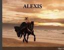 profile image for Alexis Reguenes