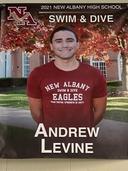 profile image for Andrew Levine