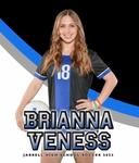 profile image for Brianna Veness