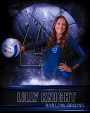 profile image for Lilly Knight