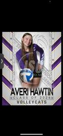 profile image for Averi Hawtin