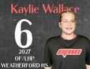 profile image for Kaylie Wallace