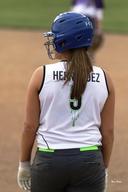 profile image for Shelby Hernandez