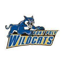 SUNY Polytechnic Institute